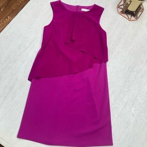 Oasis UK Stunning Violet Dress S NWT